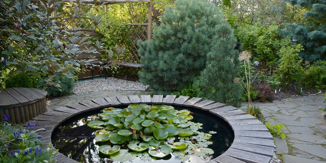 Из болота — в оазис: как пенсионерка создала райский сад на 6 сотках