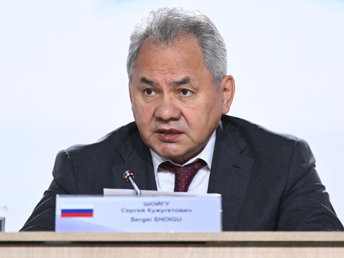    Секретарь Совета безопасности РФ Сергей Шойгу во время открытия Международной встречи по безопасности© РИА Новости / Сергей Бобылев