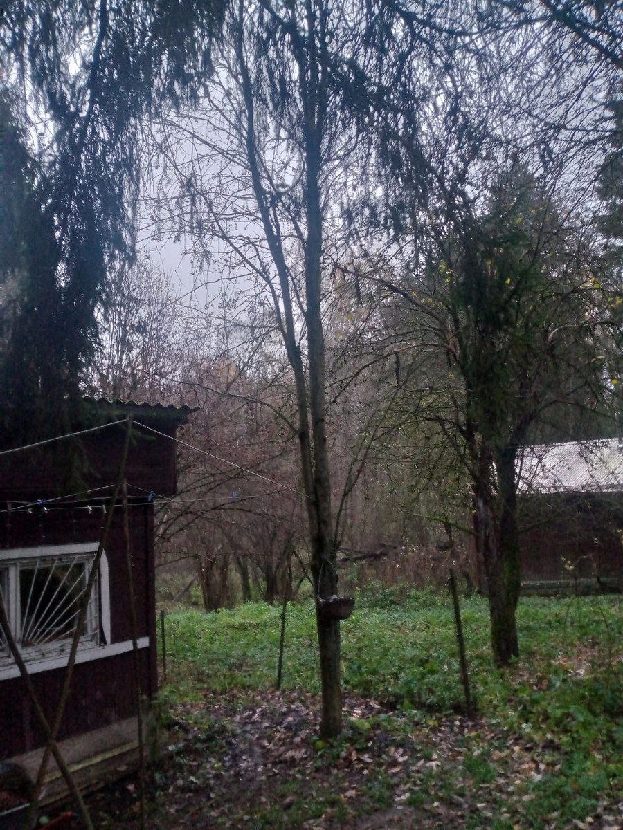 Золотая осень - всё!