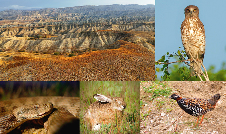 Ахар-Бахарский национальный парк. Фото: Игорь Бышнёв