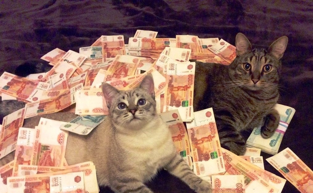 Источник фото: Яндекс.Картинки