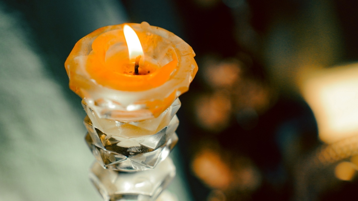 Фото: Светлана Мулыкина📷
