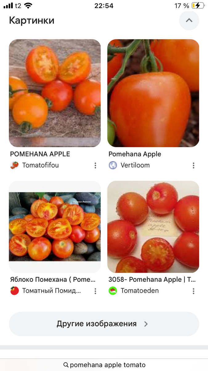 Скриншот результатов поиска по запросу Pomehana apple томат