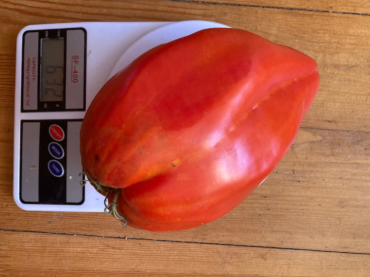 Pomehana apple -мой вариант.