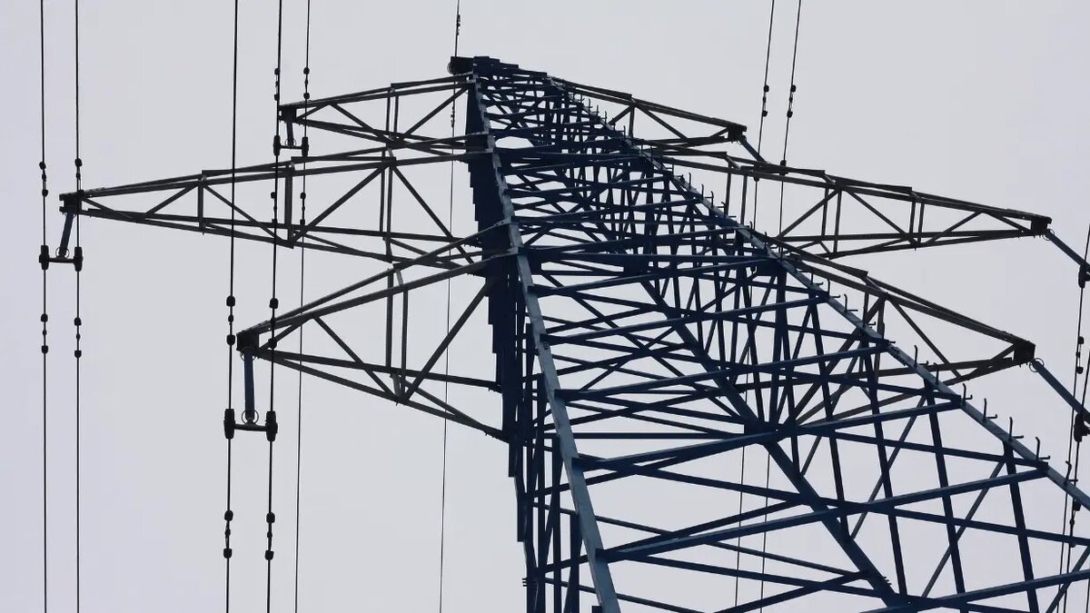    Фото: vm.ru Павел Евсеев