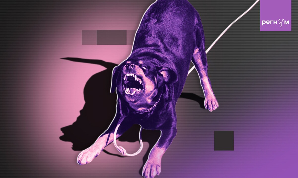    Статья Злобные собаки и тупые хозяева / Источник: Иван Шилов (с) ИА Регнум