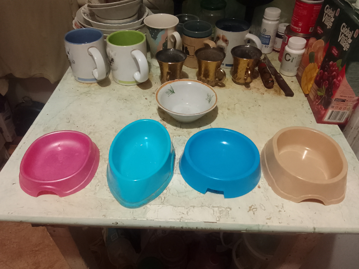 Пять мисок: для угощения, для мяса, для сметаны, для сухого корма и сзади керамическая миска для сметаны.