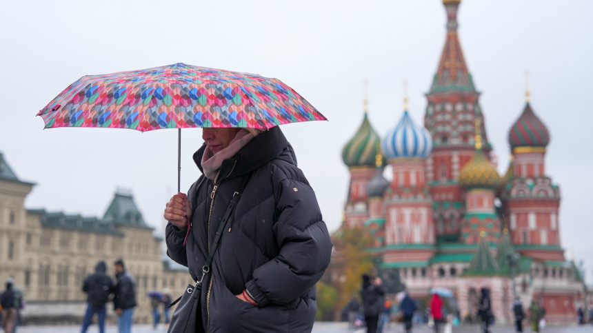    Фото: ИЗВЕСТИЯ/Дмитрий Коротаев