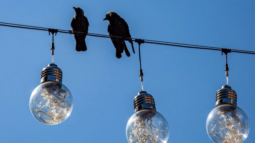    Oksana Korol/Business Online/Globallookpress