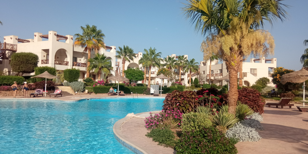 Cтать своей в Египте