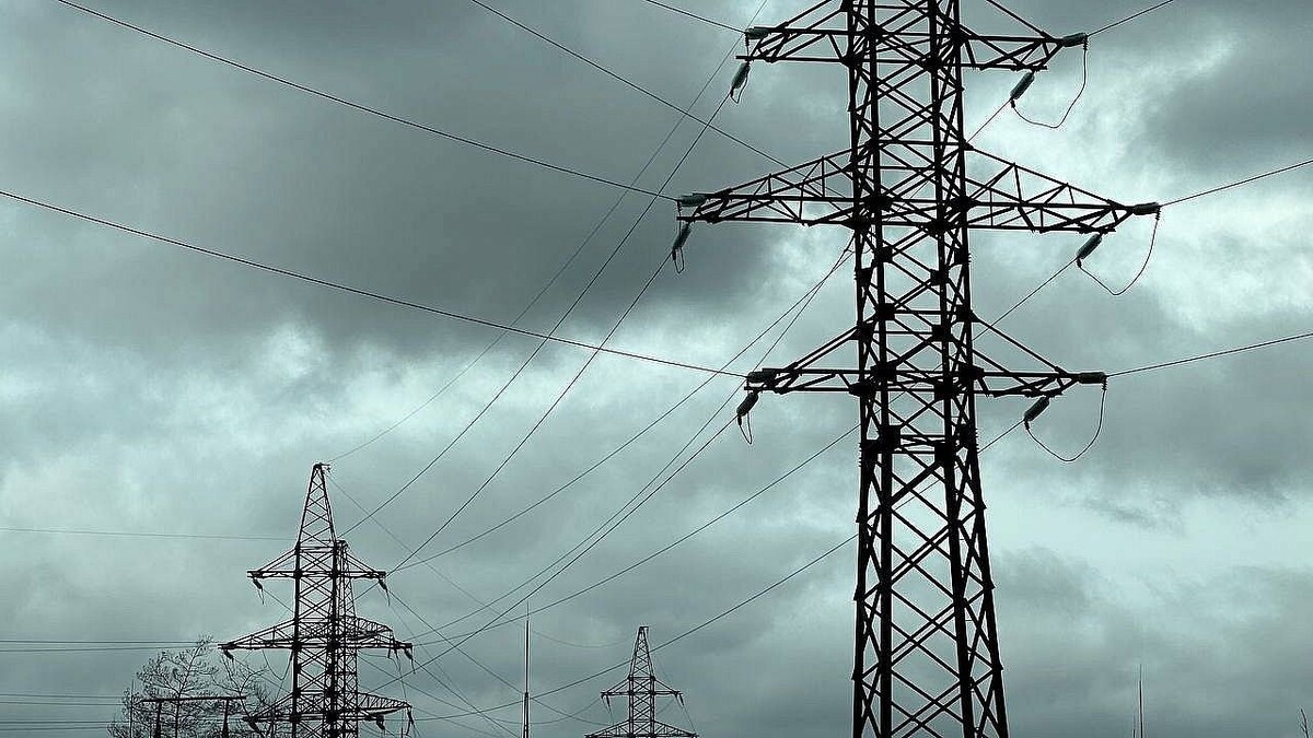    Фото: телеканал «Краснодар»