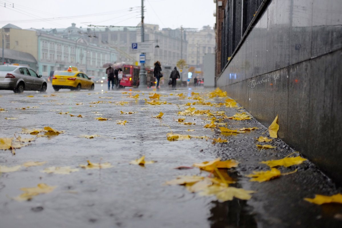 осеннее дождливое утро
