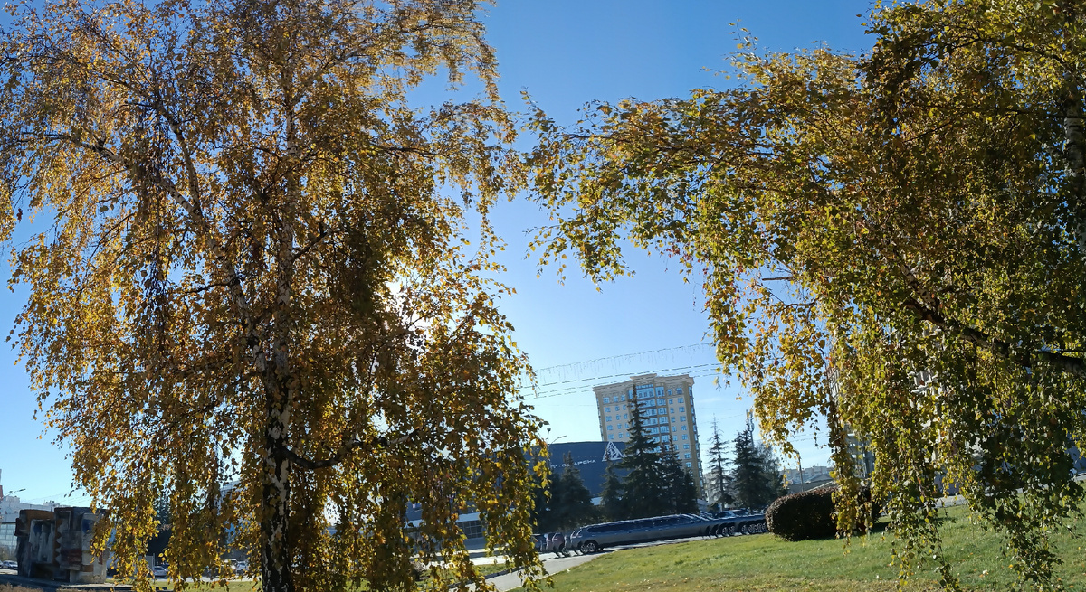 Где-то на просторах моего города. Фотография автора, конец октября 2025 года. 