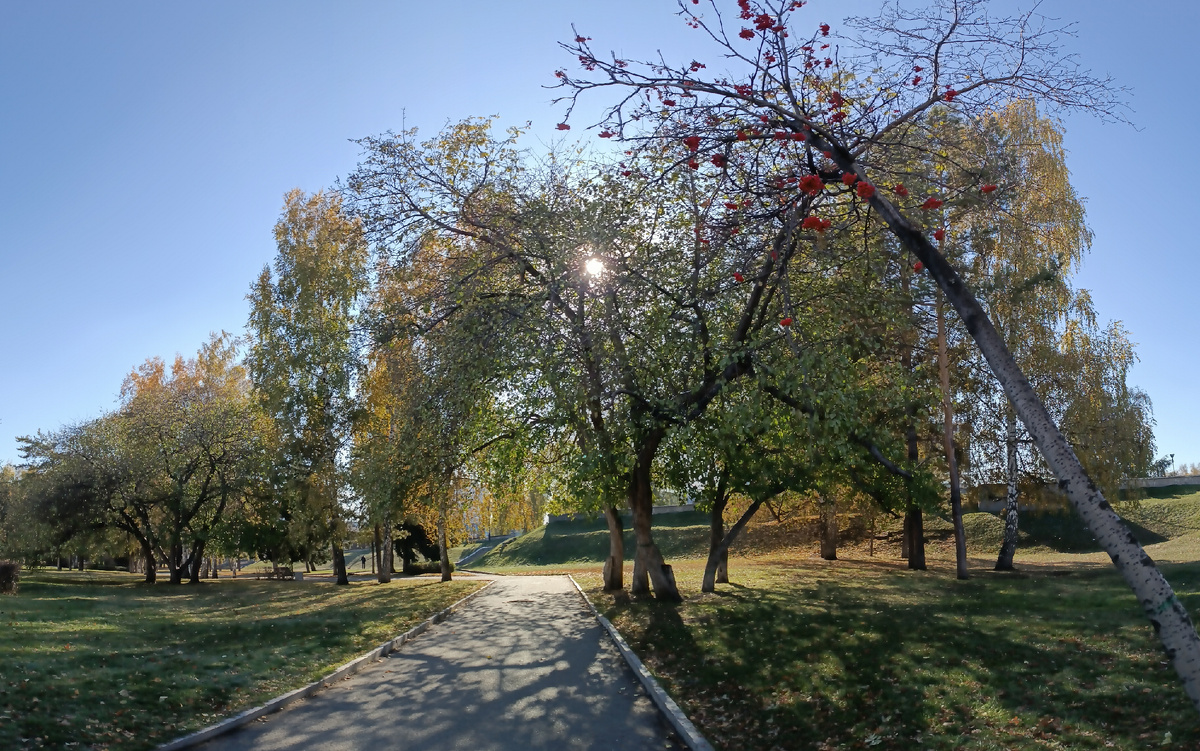 Где-то на просторах моего города. Фотография автора, октябрь 2025 года. 