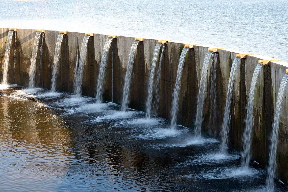    Фото: istockphoto / YuTphotograph