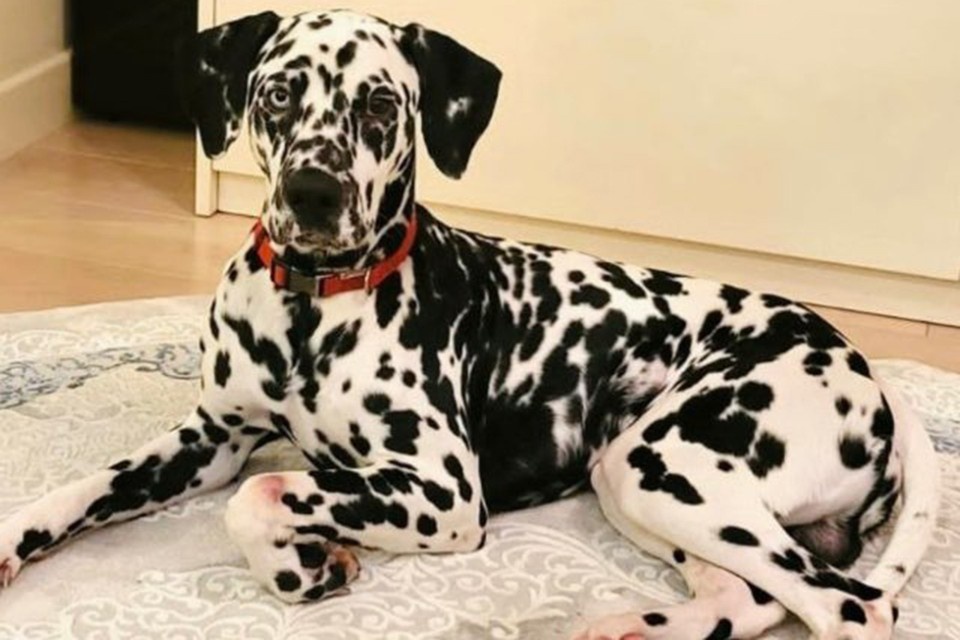    Оствинд Личная страничка героя публикации в соцсети