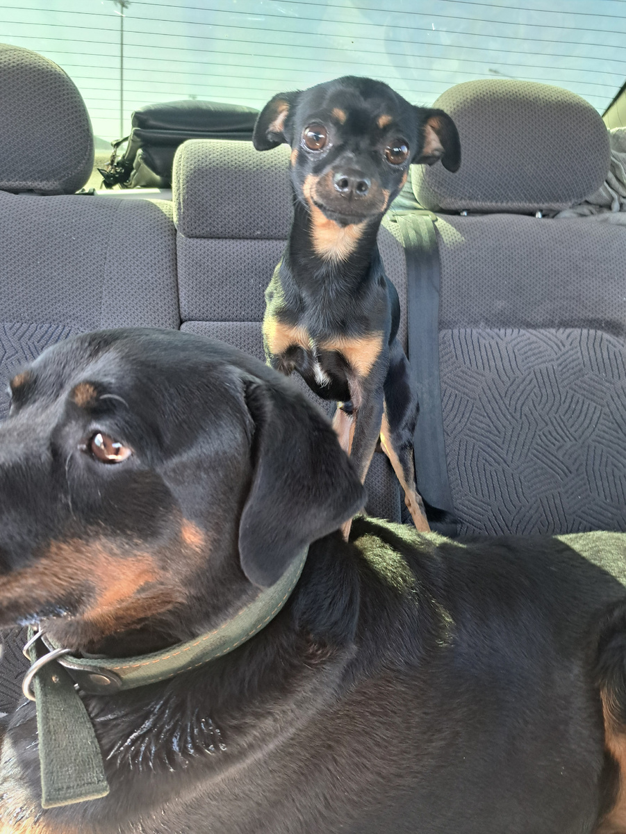 фото из личного архива