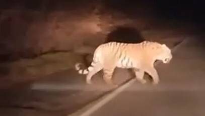    Источник фото: