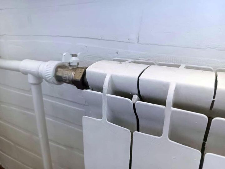    Фото:Виктория Андреева