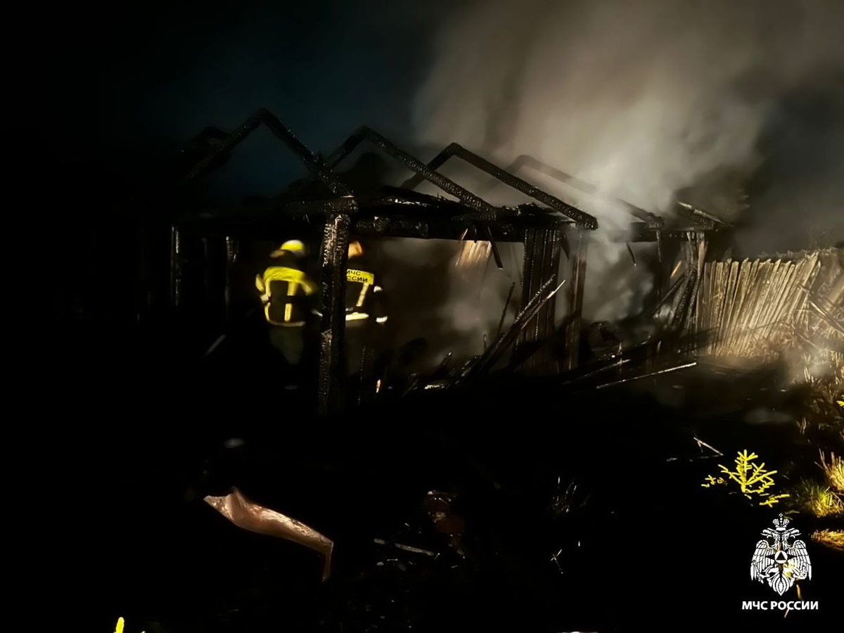    Фото: МЧС по Костромской области