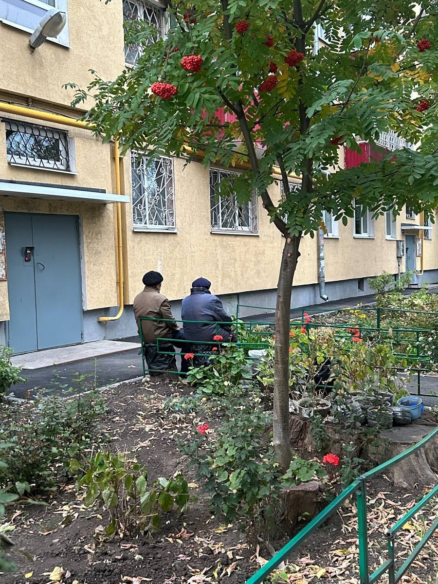    Фото: Анастасия Максименко