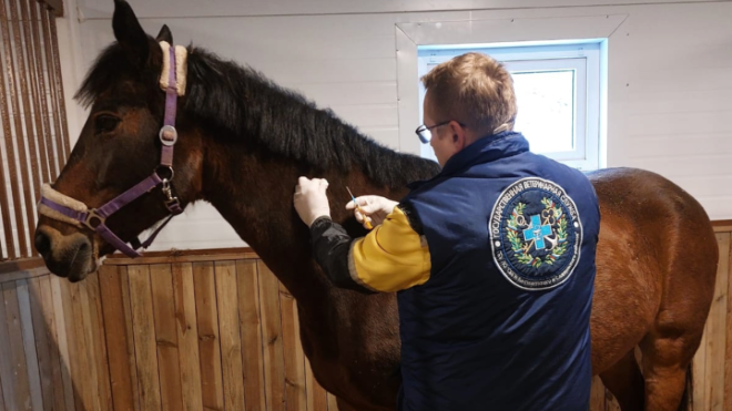 Фото: Управление ветеринарии Ленинградской области