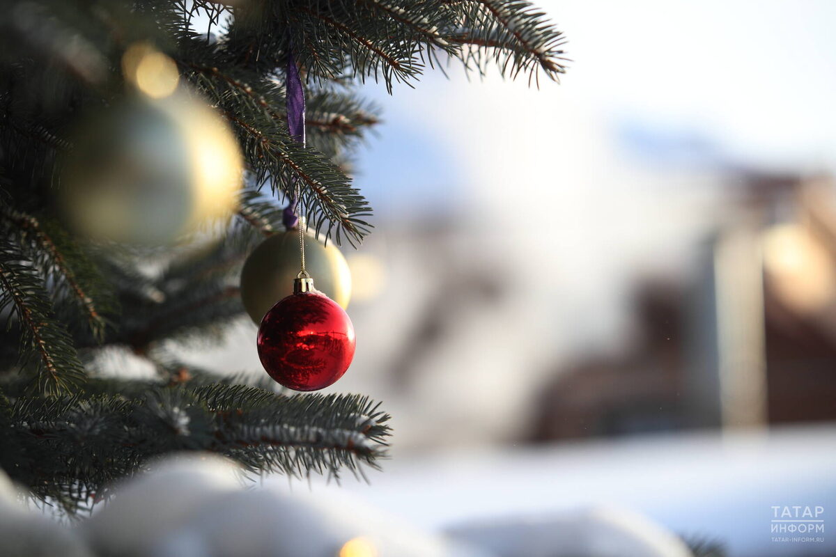 Фото: © «Татар-информ»