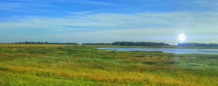 Охотнику в такой местности приходится здорово маскироваться. Особенно при охоте на гуся. 