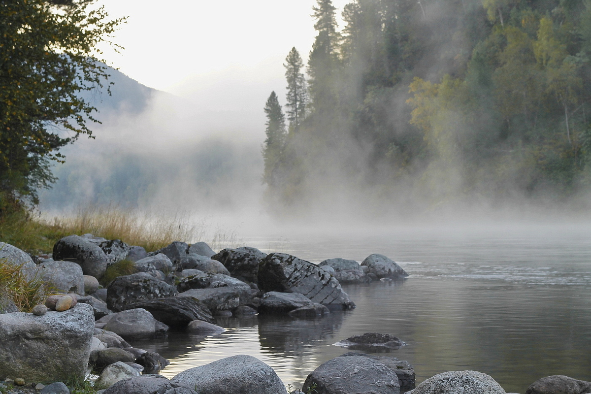 фото из интернета