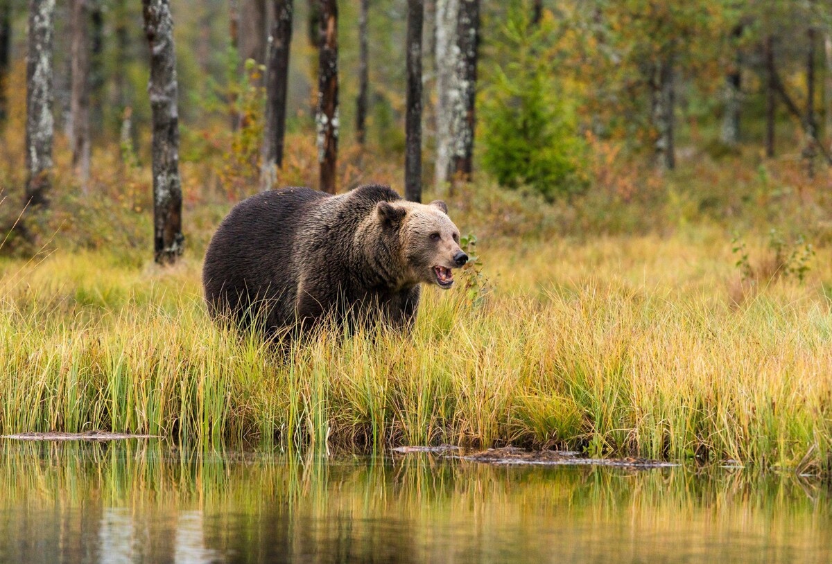 фото из интенета