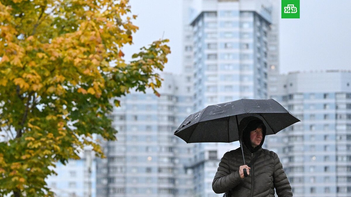    Фото: РИА Новости © 2025, Сергей Бобылев