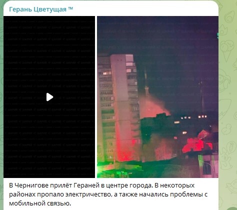    Фото: Скриншот Telegram/"Герань Цветущая"