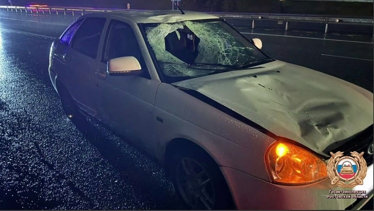    На фото стоп-кадр видеоматериала ГОсавтоинспекции РО Редактор