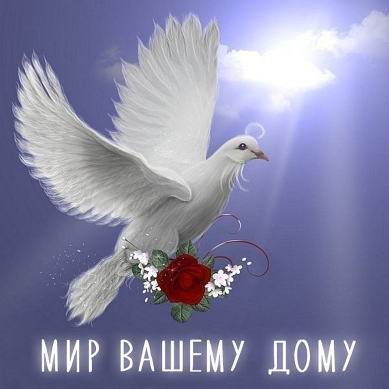 Спасибо Интернету за возможность использовать картинки