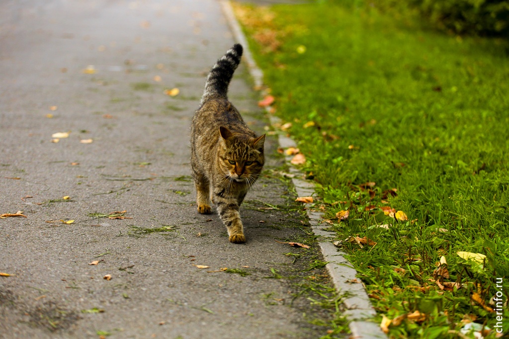    Со вторника, 28 октября, погоду начнет определять активный циклон с юга.