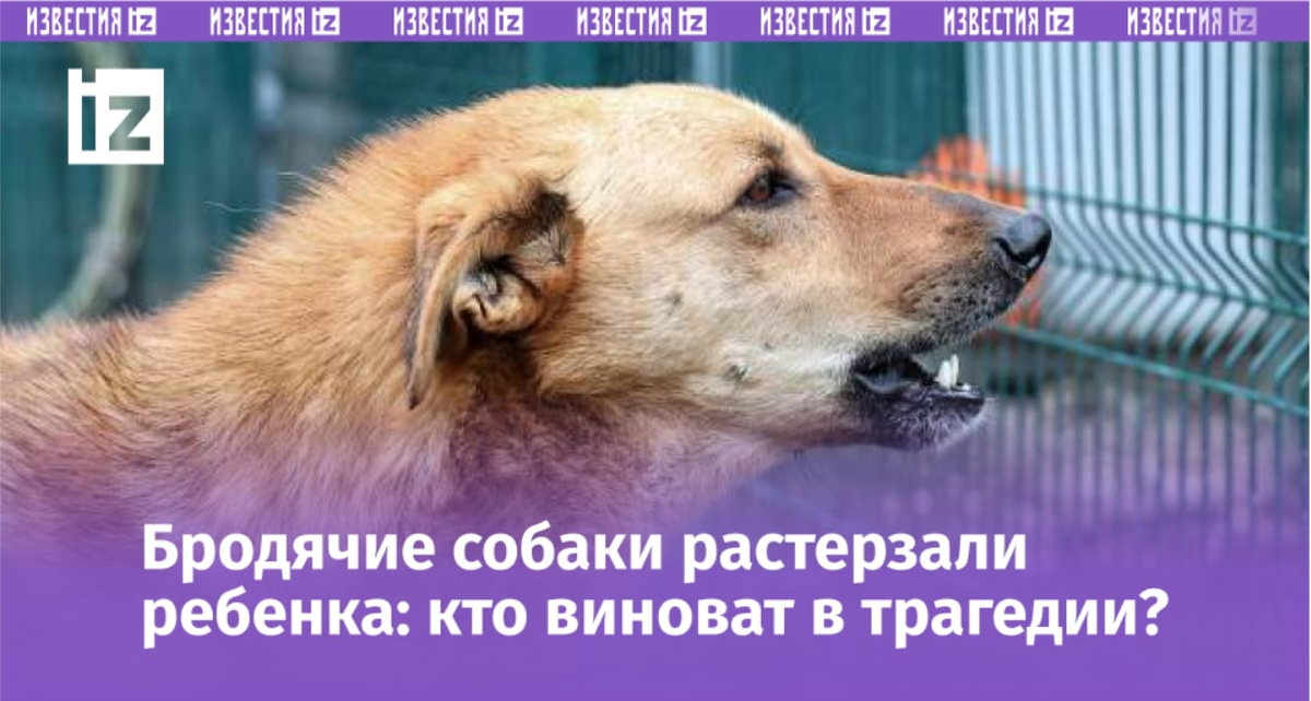 Фото: Global Look Press/Petrov Sergey