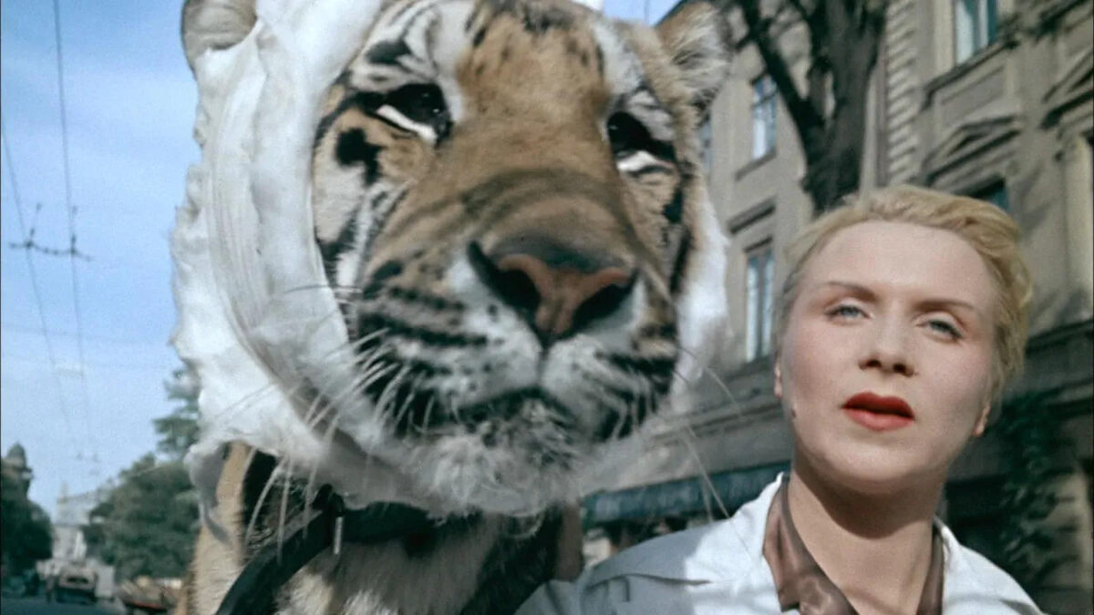 Фото: скрин из фильма "Полосатый рейс", источник: 1tv.ru📷
