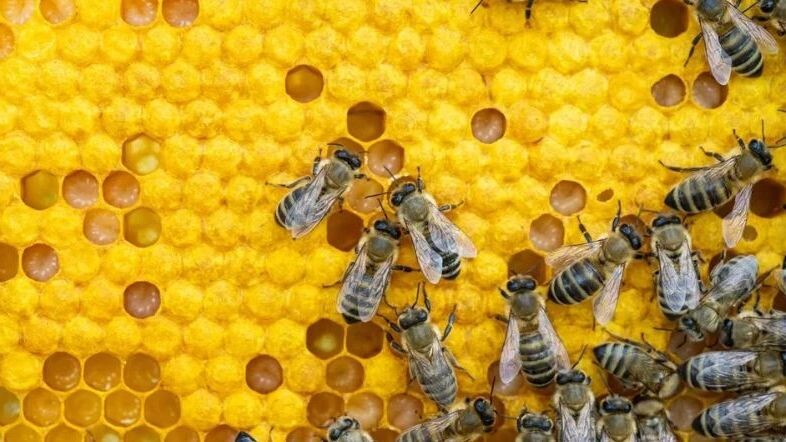    Фото: Baronb/Shutterstock/Fotodom