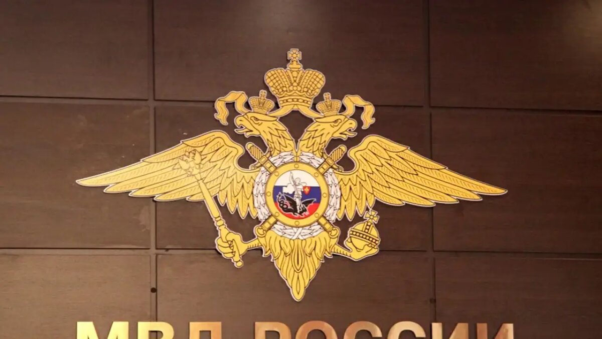     © МВД Медиа
