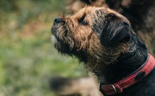    Фото: ru.freepik.com Илья Федоров