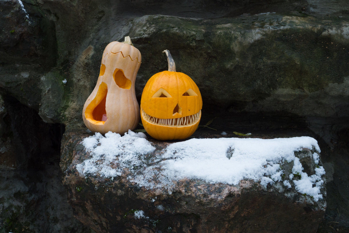 Олег Золото/ «Вечерний Санкт-Петербург»