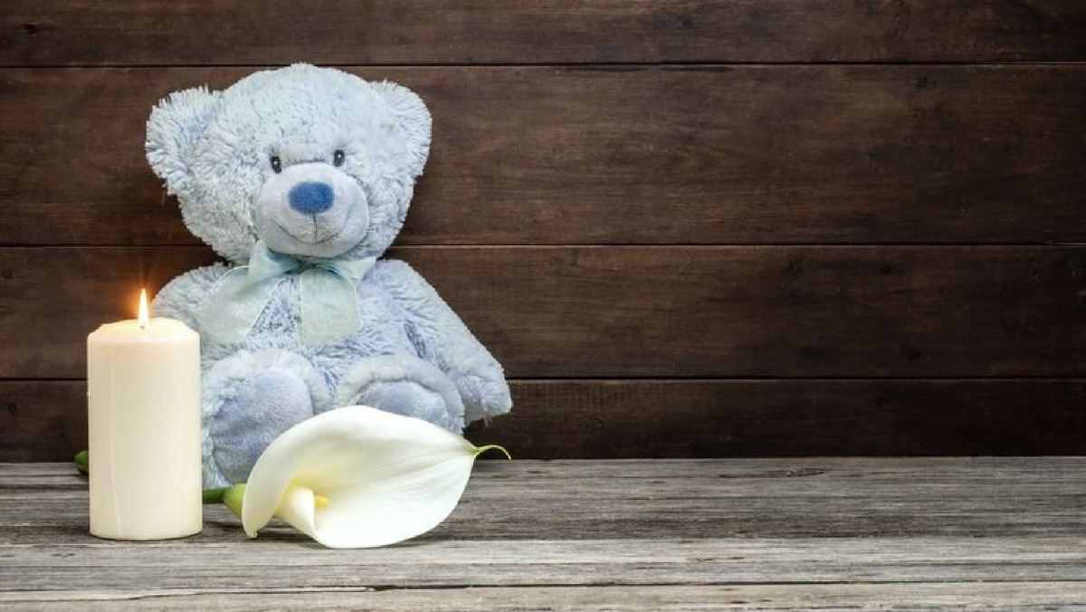    Фото: iStock/Rafa Jodar