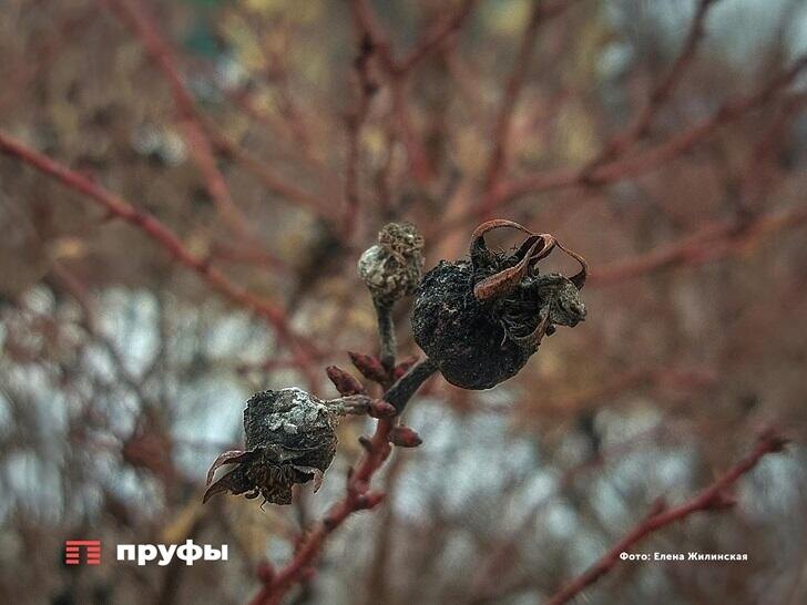    Фото: Пруфы