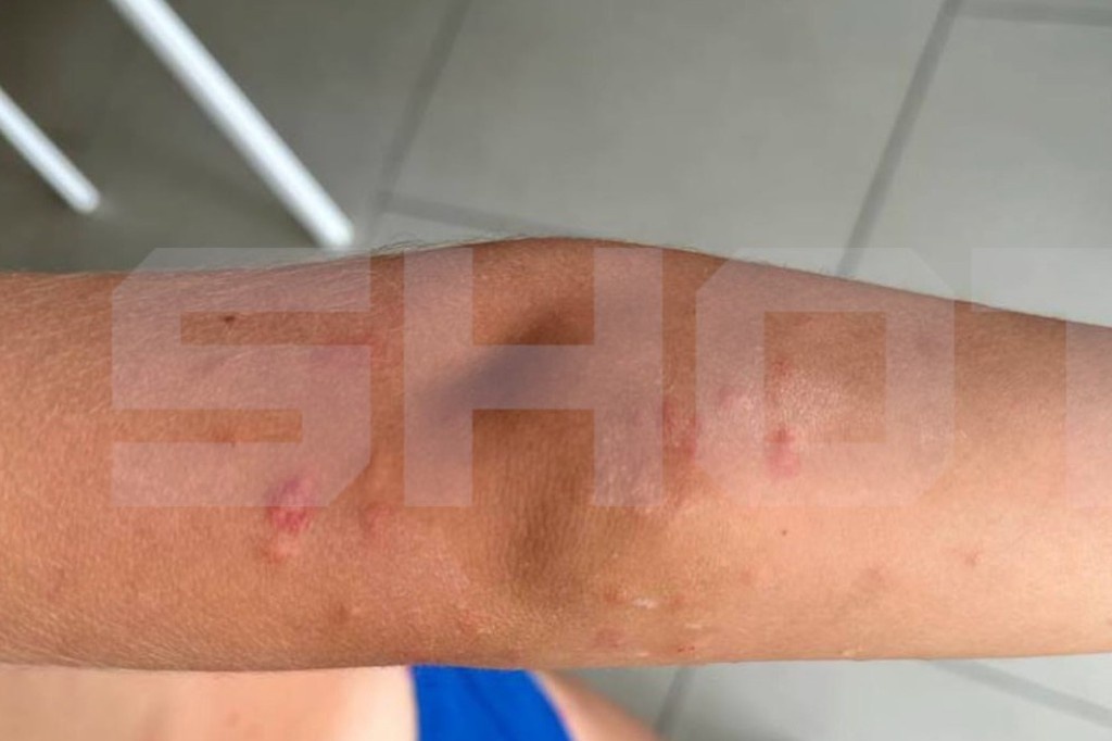    Фото © Telegram / SHOT