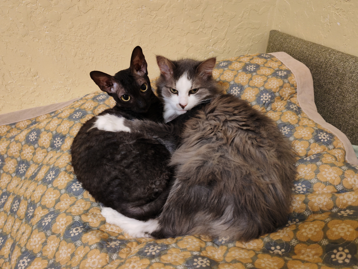 Будьте счастливы!