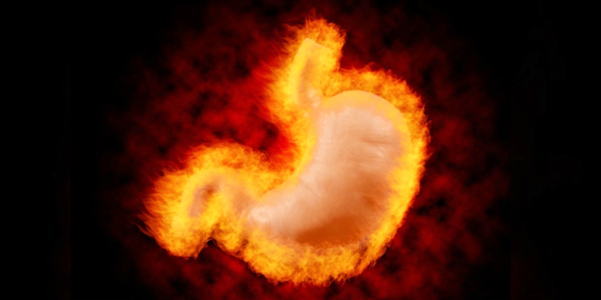 Источник: https://www.shutterstock.com/, @Victor Moussa