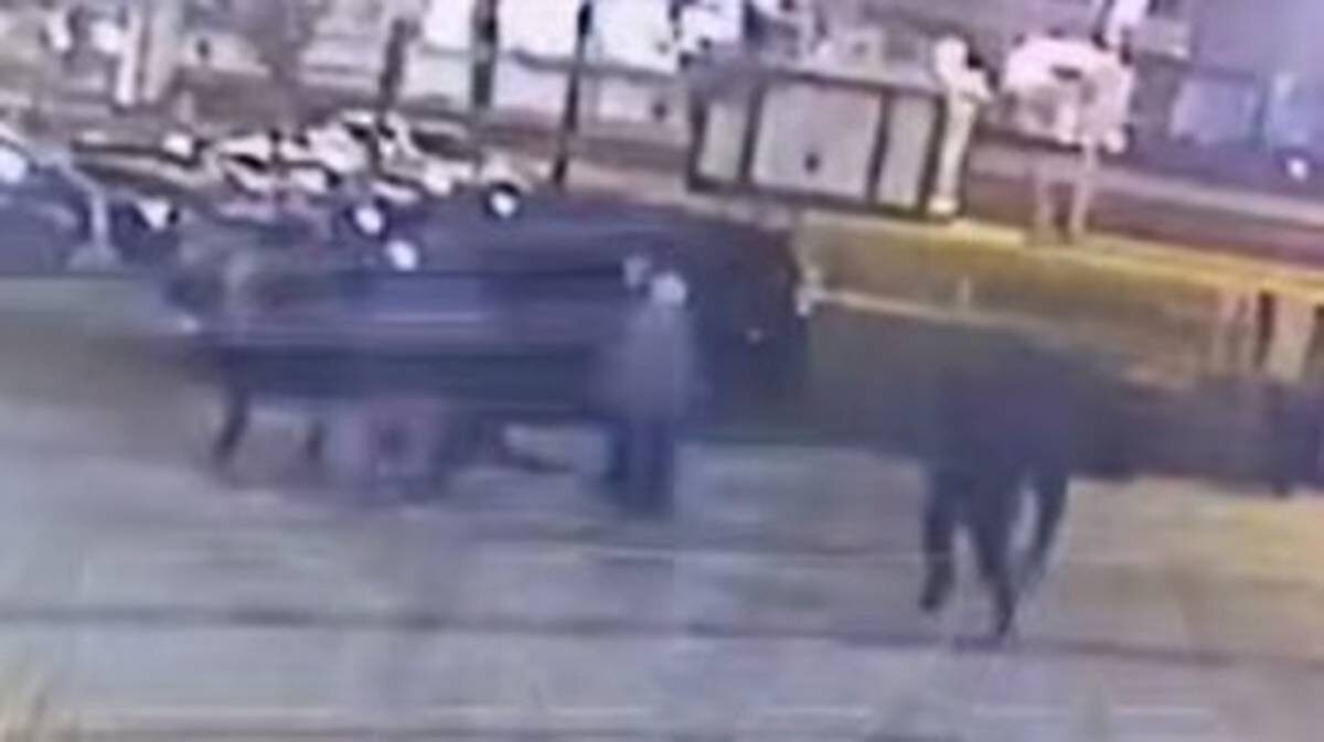    Фото: Скриншот видео / Baza/Telegram