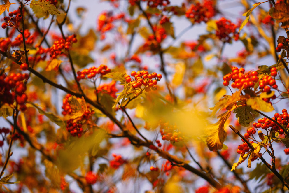 Фото: freepik / Kireyonok_Yuliya