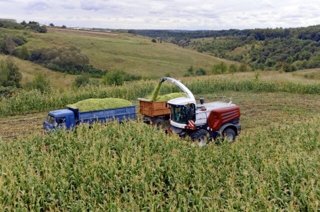    Кормоуборочный комбайн Ростсельмаш - F 2650. Фото: Ростсельмаш