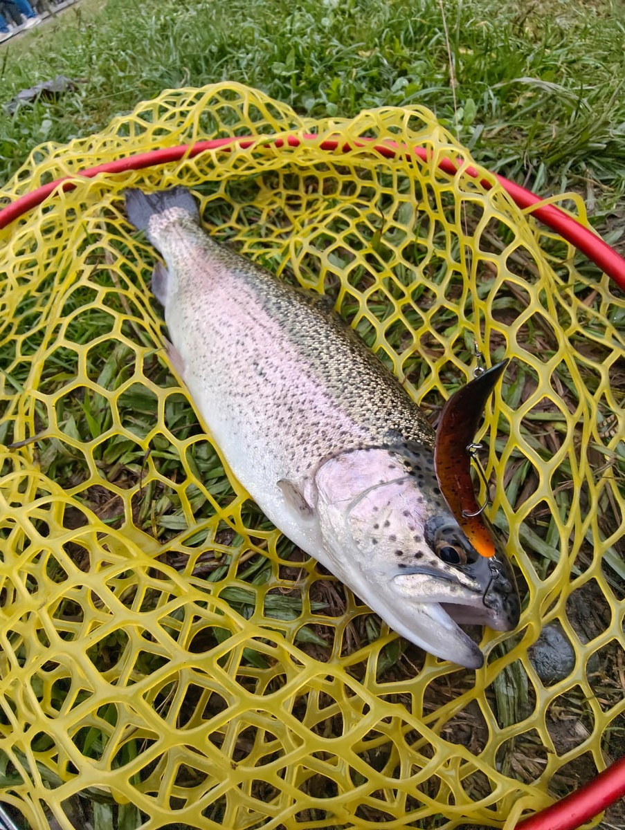 Воблер Vitalito Craft BOOMER 50SP